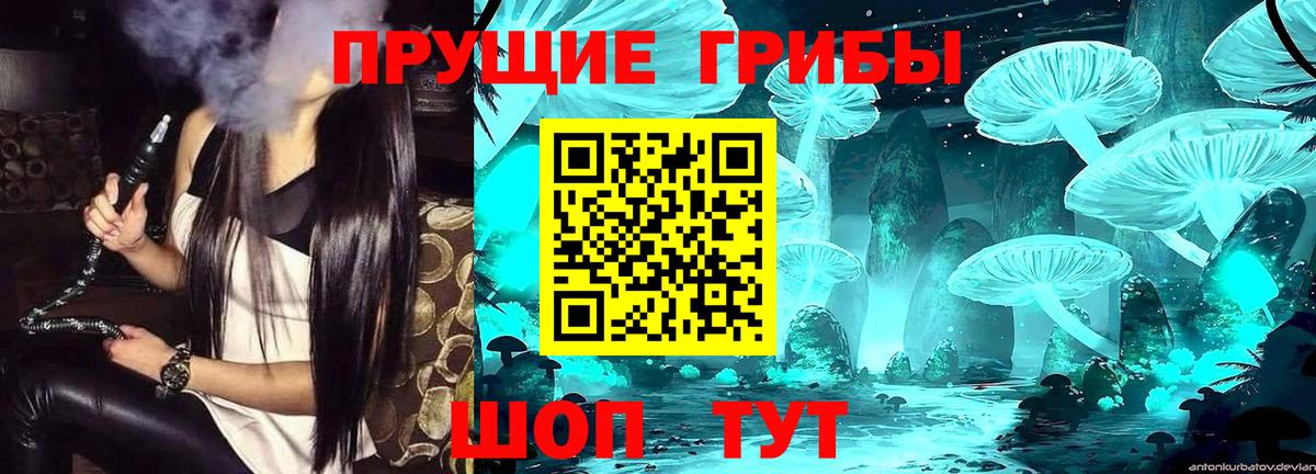 наркота  Вход с VPN  Бирск  Псилоцибиновые грибы Cubensis 